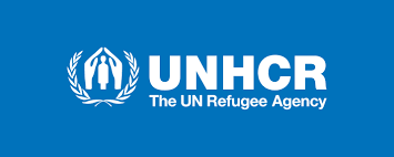 programme-assistant-national-united-nations-volunteer-specialist