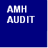 AMH Audit cjsc