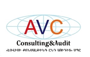 AVC Consulting and Audit